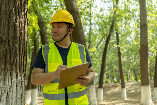 Auditoria de sistema de gestão Ambiental 3